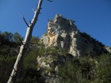 Clicca qui per vedere l'immagine in dettaglio
